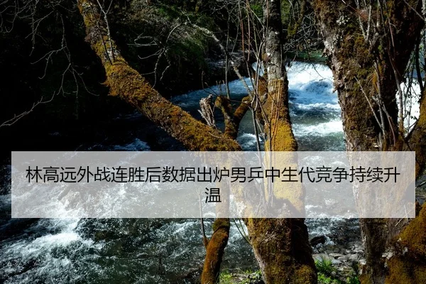 林高远外战连胜后数据出炉男乒中生代竞争持续升温