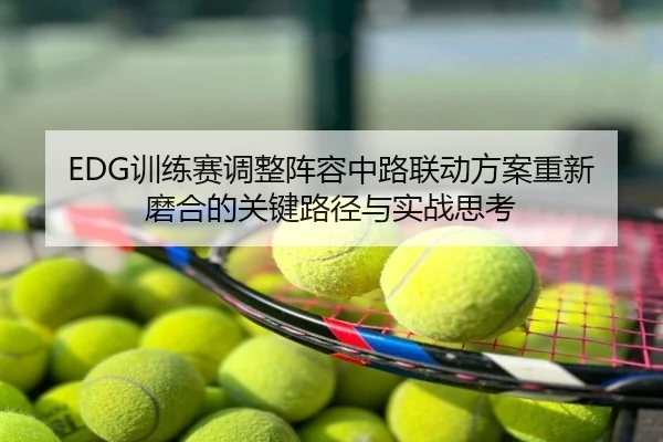 EDG训练赛调整阵容中路联动方案重新磨合的关键路径与实战思考