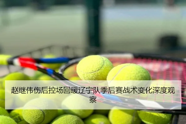 赵继伟伤后控场回暖辽宁队季后赛战术变化深度观察